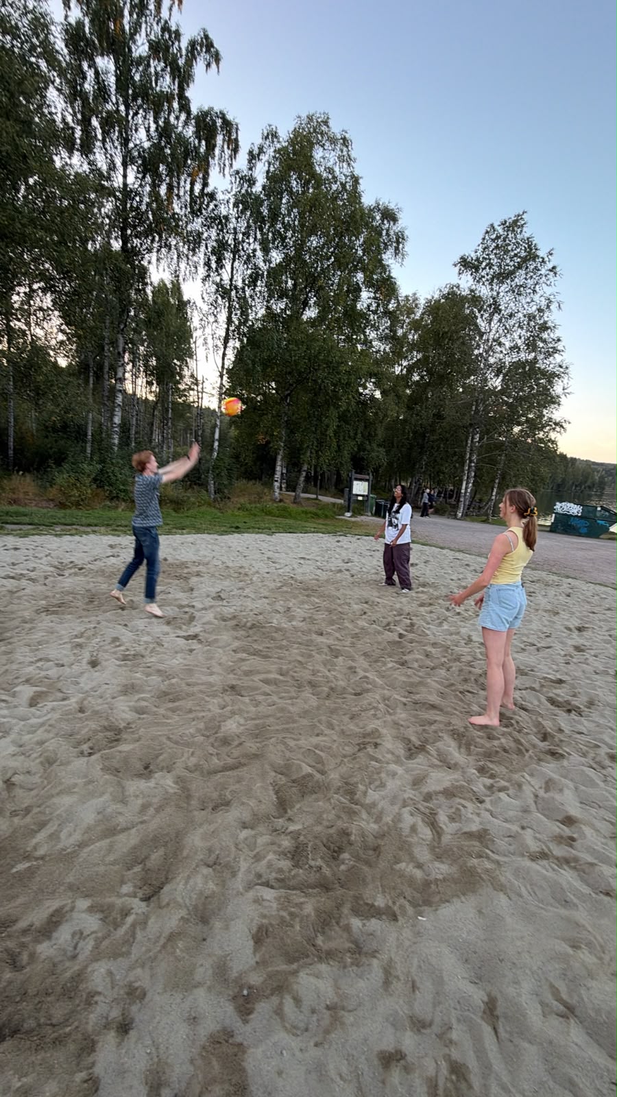 Volleybal
