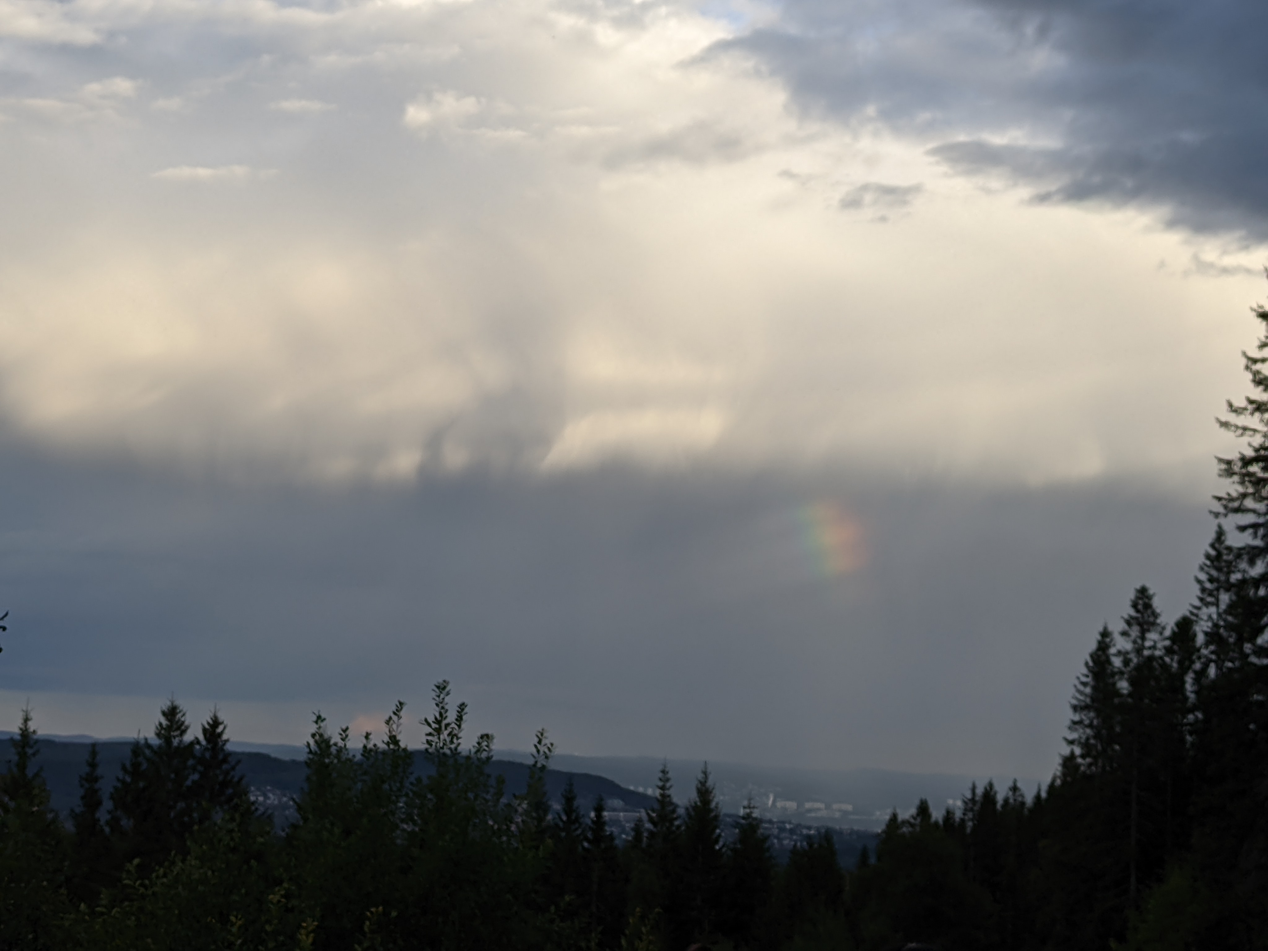 Regenboog