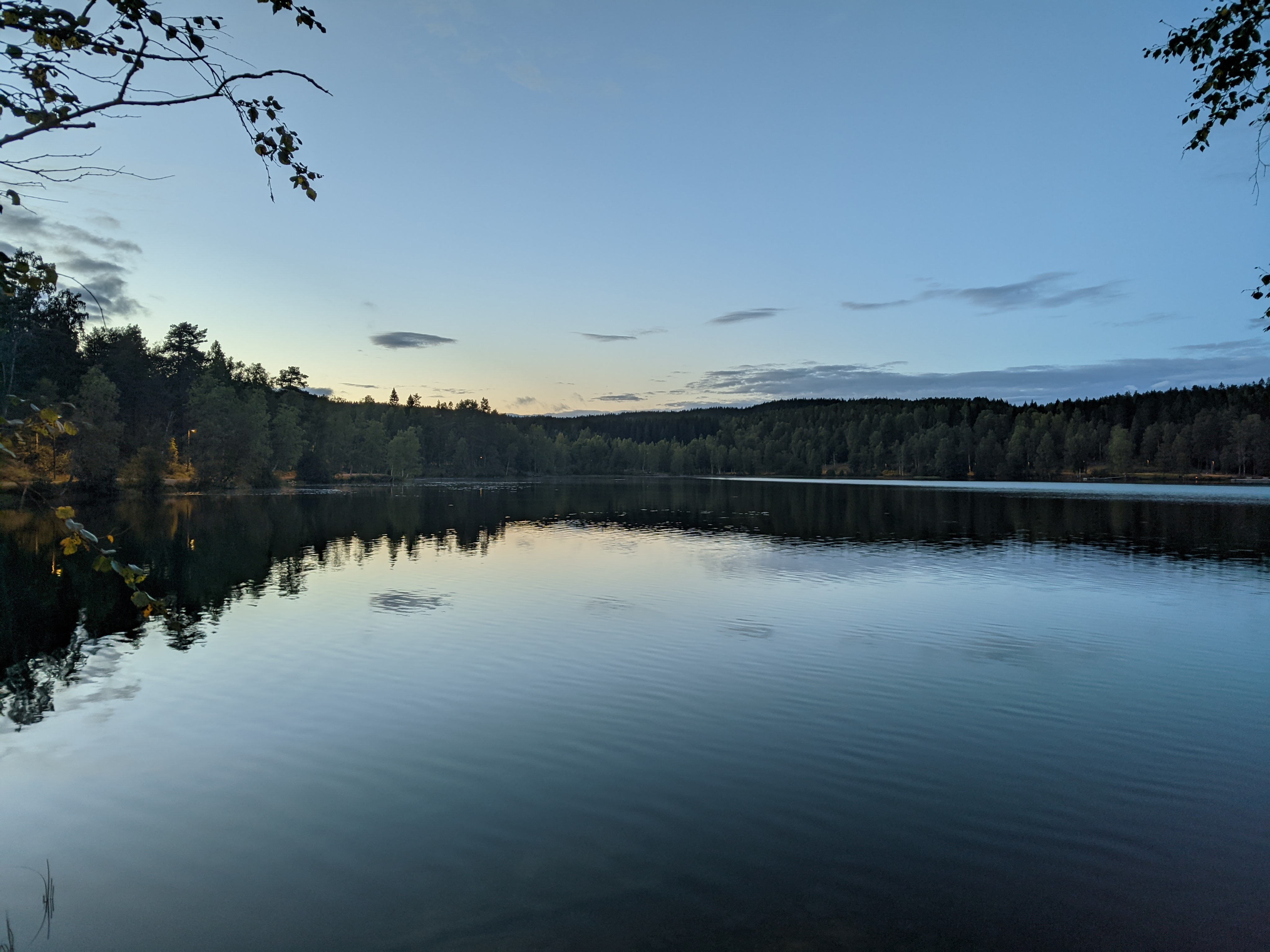 Sognsvann