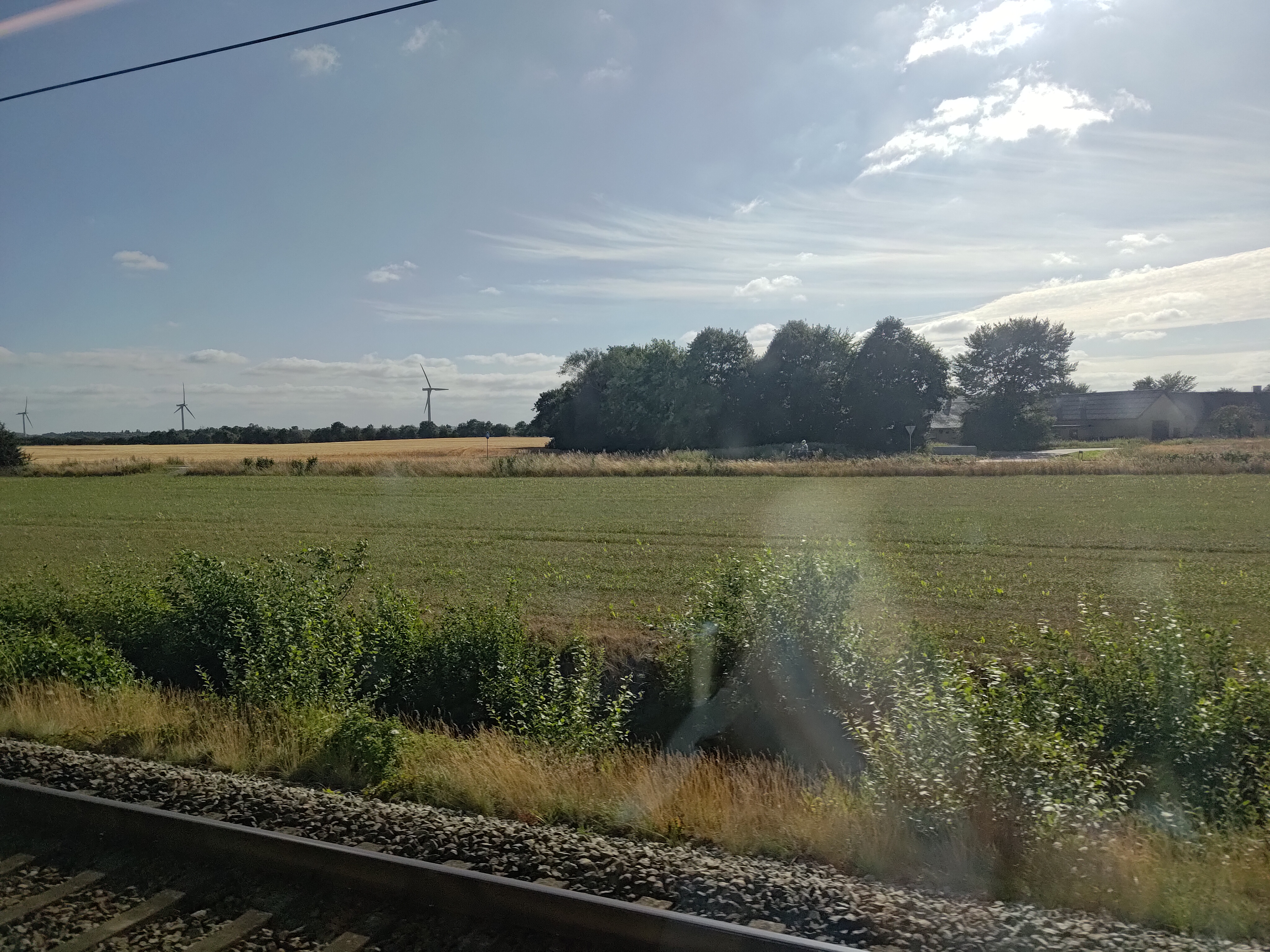 Grasland in Denemarken
