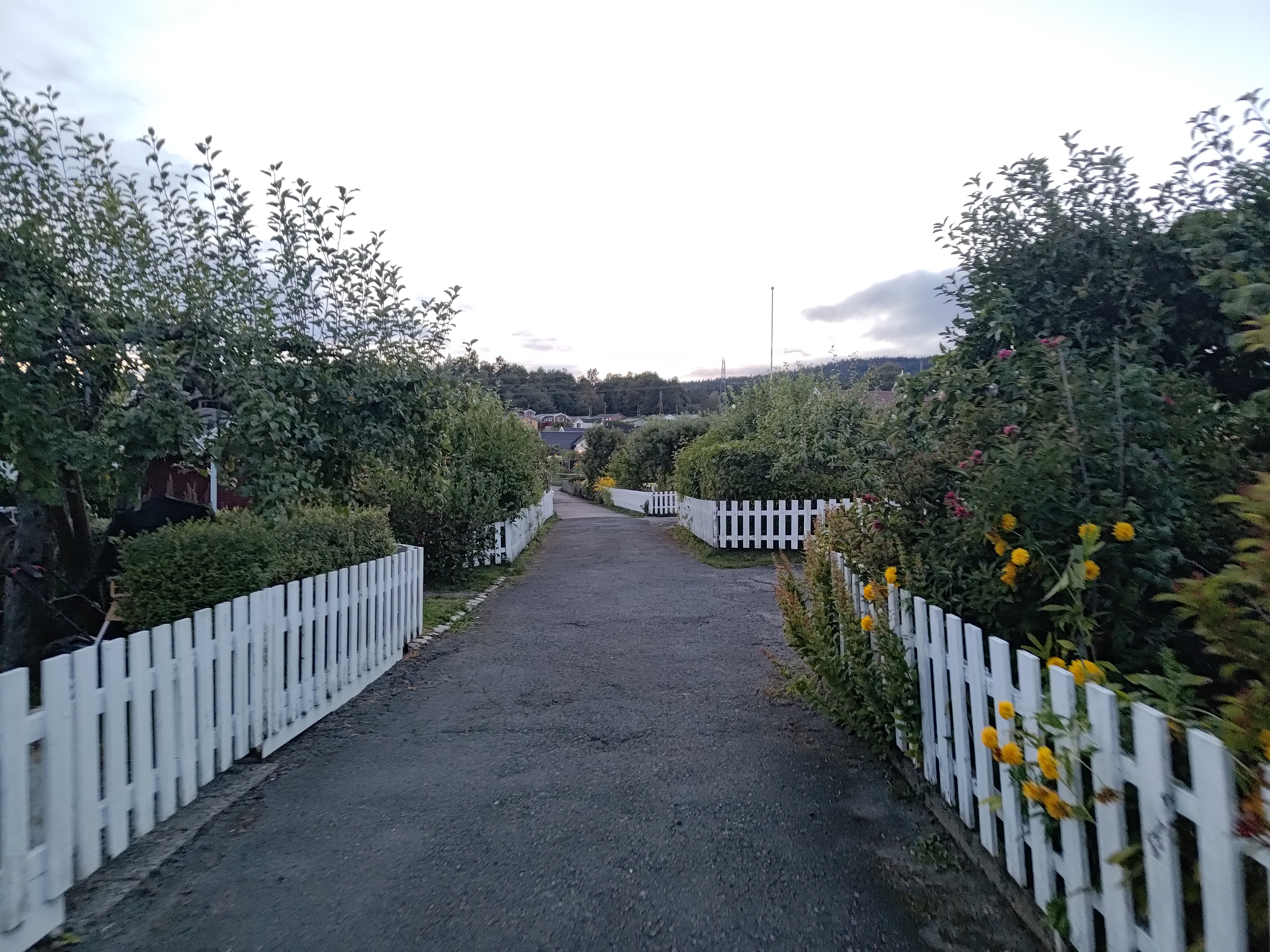 Kolonihagen