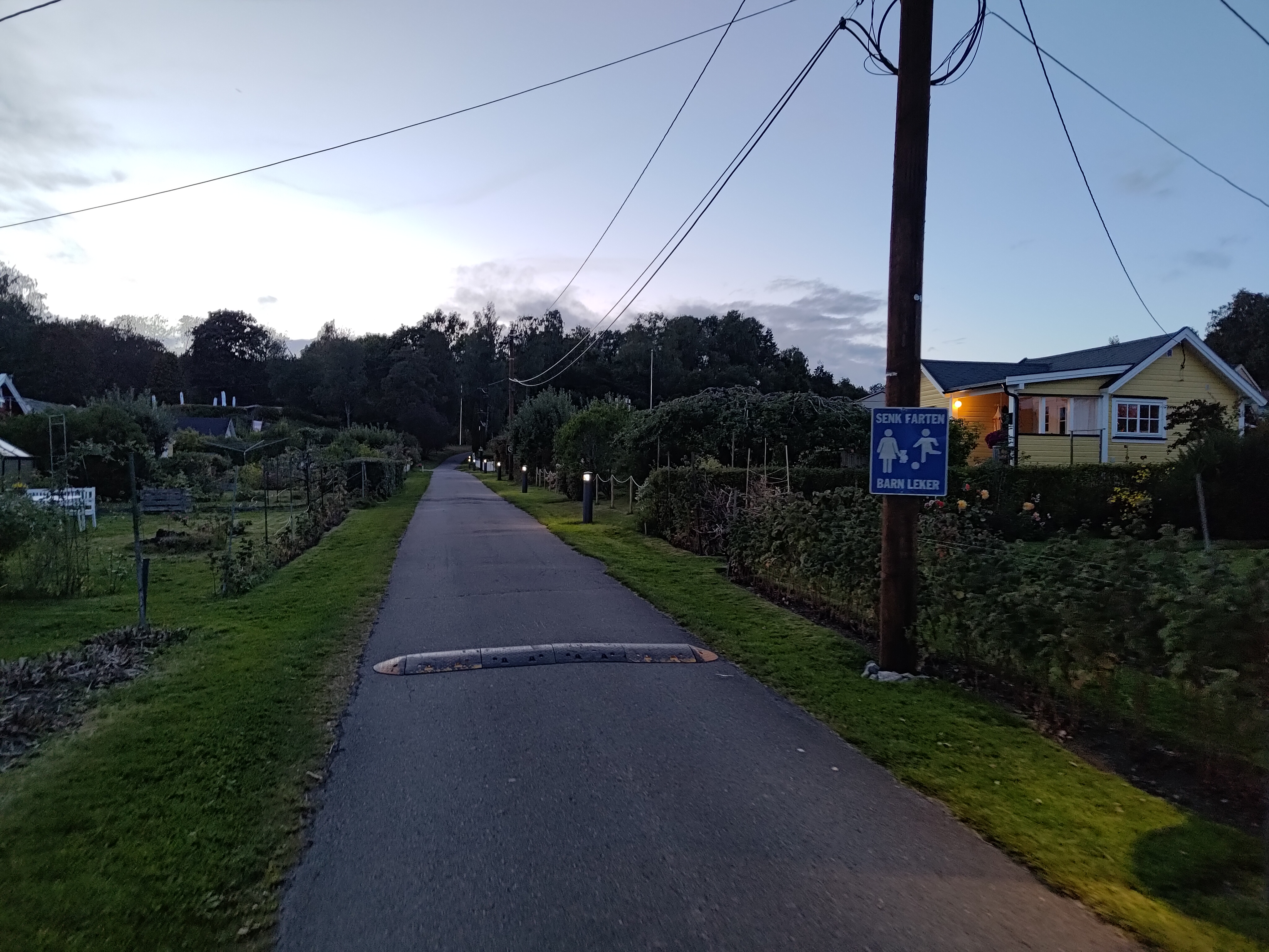 Nog meer Kolonihagen