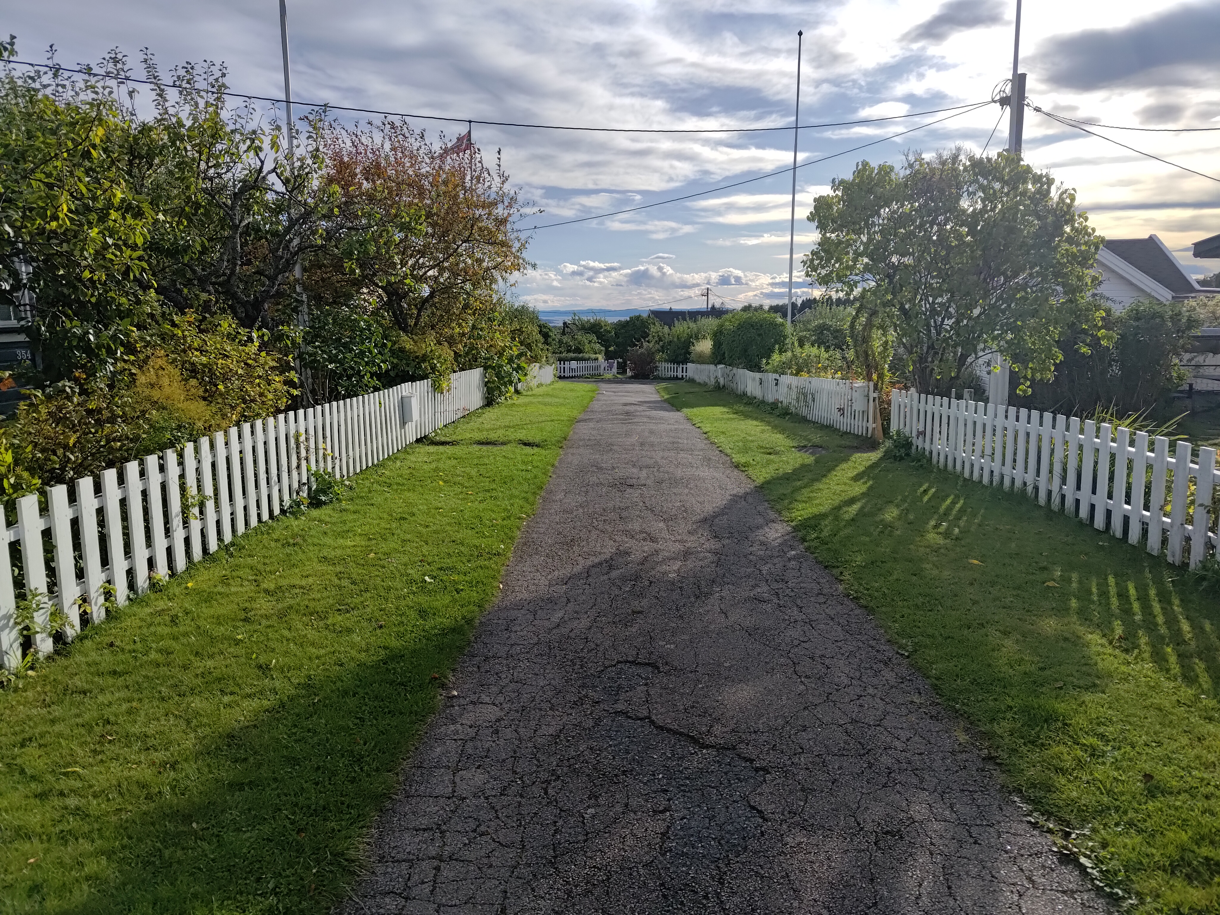 Kolonihagen