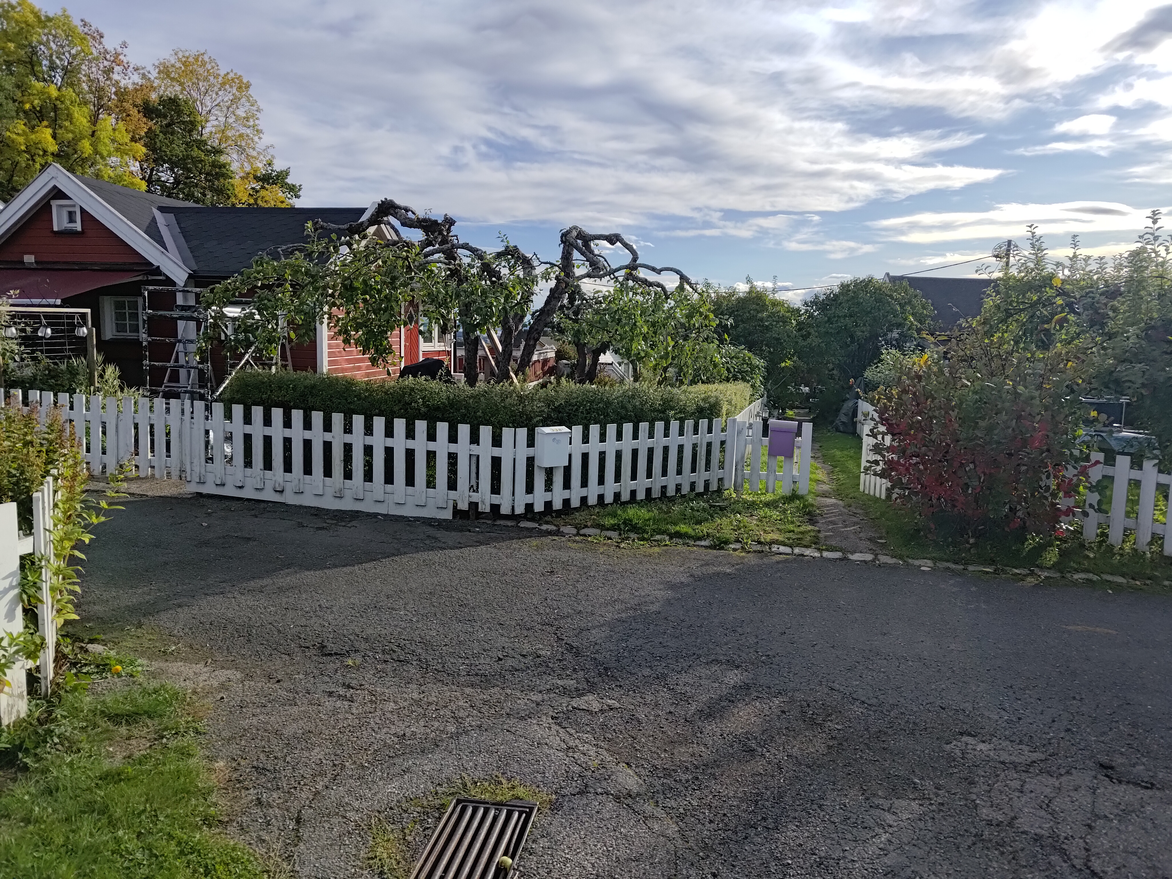 Kolonihagen